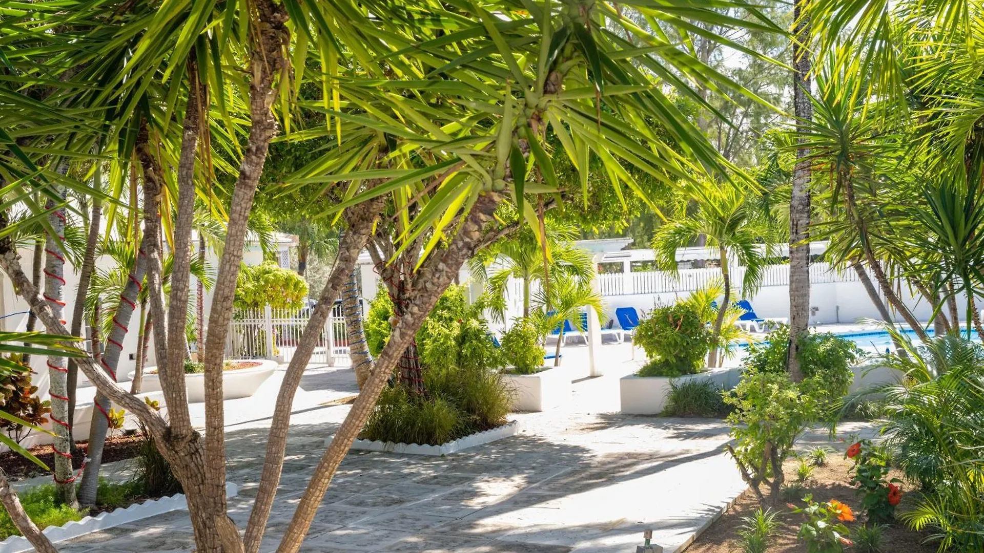 Ocean View Villas At Paradise Island Beach Club